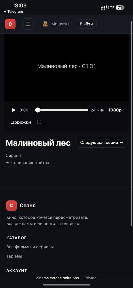 Evrone Cinema — экран 6 из 8